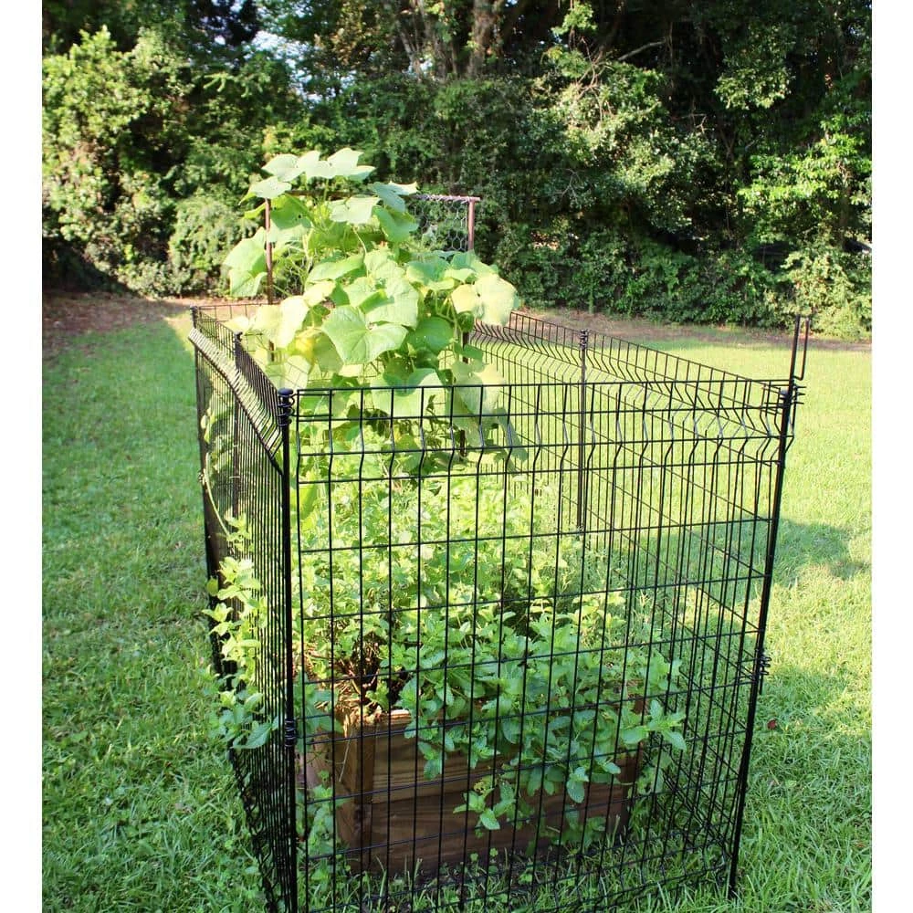 Vigoro 49 in. H Steel No Dig Garden Fence Multi-Purpose Latch (2-Pack) 7 Vigoro 49 in. H Steel No Dig Garden Fence Multi-Purpose Latch (2-Pack) - Image 5