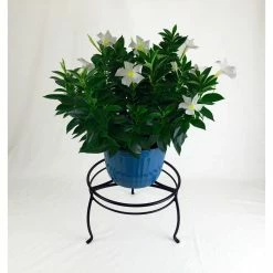 Vigoro 8 in. Black Metal Indoor Plant Stand 9 Vigoro 8 in. Black Metal Indoor Plant Stand -KANTE Sales black vigoro plant stands 51470 c3 1000
