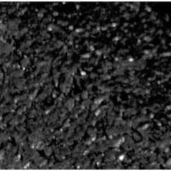 Vigoro EcoBorder 4 ft. Black Rubber Landscape Edging (48-Count/Pallet) -KANTE Sales black vigoro rubber edging ecobrd bl 48 1f 1000