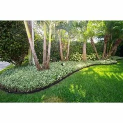 Vigoro EcoBorder 4 ft. Black Rubber Landscape Edging (6-Pack) -KANTE Sales black vigoro rubber edging ecobrd blk 6pk 44 1000