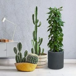 KANTE 15.8 in. x 12.9 in. and 9.8 in. W Round Charcoal Concrete/Fiberglass Indoor Outdoor Elegant Planters -KANTE Sales charcoal kante plant pots osc0119abc c60121 1f 1000
