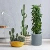 KANTE 12.9 in. W Round Charcoal Concrete/Fiberglass Indoor Outdoor Elegant Planter -KANTE Sales charcoal kante plant pots osc0119b c60121 64 1000