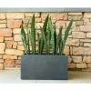 KANTE 23 in. L Rectangular Charcoal Concrete/Fiberglass Indoor Outdoor Elegant Planter -KANTE Sales charcoal kante plant pots osf0104a c60121 64 1000
