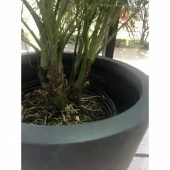 KANTE Medium 10 in. Tall Charcoal Lightweight Concrete Round Outdoor Bowl Planter 14 KANTE Medium 10 in. Tall Charcoal Lightweight Concrete Round Outdoor Bowl Planter -KANTE Sales charcoal kante plant pots rc0051c c60121 44 1000