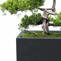 KANTE 19", 16" and 13"H Charcoal Finish Concrete Tall Square Set of 3, Outdoor Indoor Lightweight Planters w/ Drainage Hole 16 KANTE 19", 16" and 13"H Charcoal Finish Concrete Tall Square Set of 3, Outdoor Indoor Lightweight Planters w/ Drainage Hole -KANTE Sales charcoal kante plant pots rf0007abc c60121 fa 1000