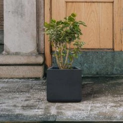 KANTE 11.81 x 11.81 in. Square Charcoal Lightweight Concrete and Weather Resistant Fiberglass Planter w/Drainage Hole 15 KANTE 11.81 x 11.81 in. Square Charcoal Lightweight Concrete and Weather Resistant Fiberglass Planter w/Drainage Hole -KANTE Sales charcoal kante plant pots rf0221b c60121 44 1000