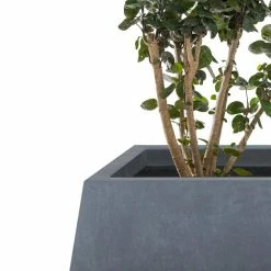 KANTE 21.2 in. and 16.1 in. W Square Charcoal Finish Lightweight Concrete/Fiberglass Planters with Drainage Holes (Set of 2) 11 KANTE 21.2 in. and 16.1 in. W Square Charcoal Finish Lightweight Concrete/Fiberglass Planters with Drainage Holes (Set of 2) -KANTE Sales charcoal kante plant pots rf2015018ab c60121 4f 1000