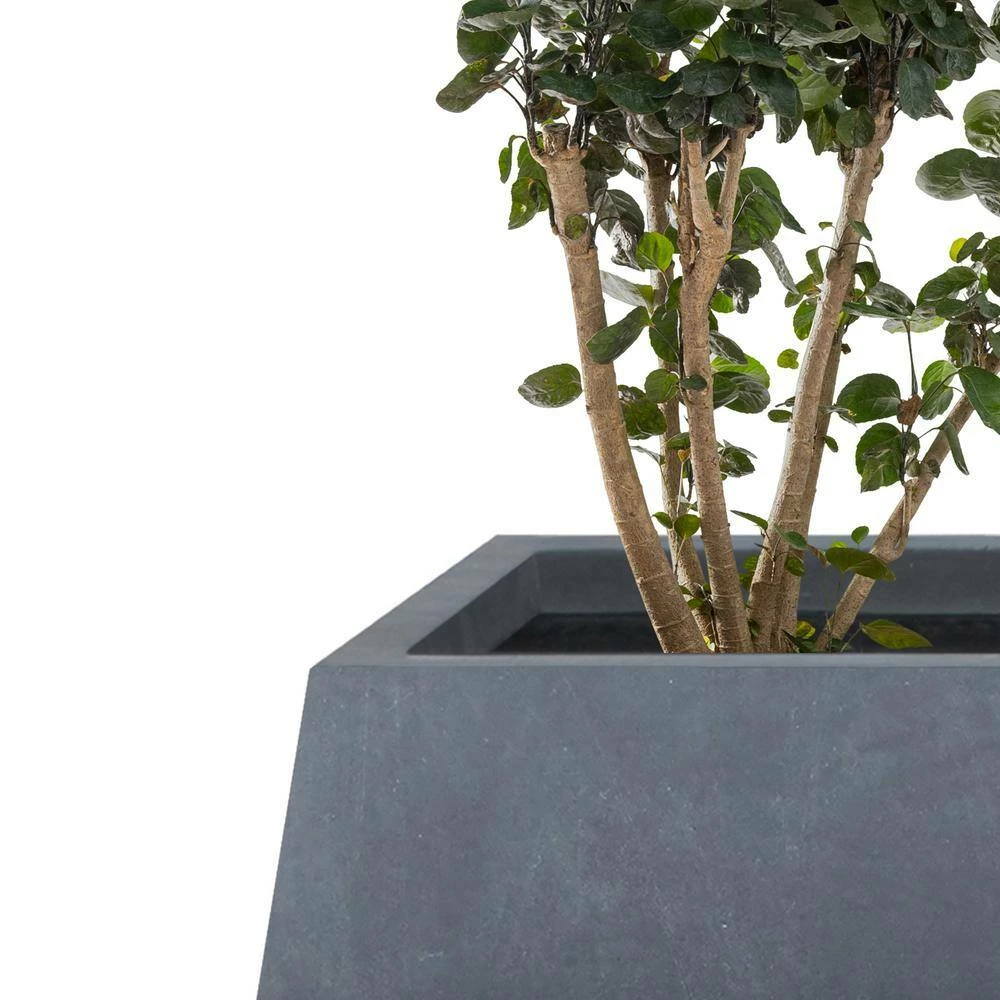 KANTE 21.2 in. and 16.1 in. W Square Charcoal Finish Lightweight Concrete/Fiberglass Planters with Drainage Holes (Set of 2) 5 KANTE 21.2 in. and 16.1 in. W Square Charcoal Finish Lightweight Concrete/Fiberglass Planters with Drainage Holes (Set of 2) - Image 3