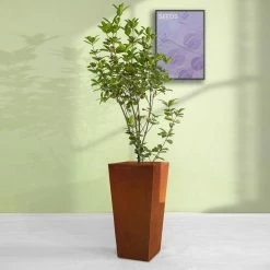 KANTE 24.4 in. H Rectangle Faux Weathering Steel Lightweight Concrete Tapered Tall Planter with Drainage Hole, Outdoor/Indoor -KANTE Sales faux weathering steel kante plant pots rf0004c c91942 76 1000