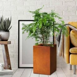 KANTE 16 in. H Faux Weathering Steel Finish Concrete Square, Modern Outdoor/Indoor Lightweight Planter Pot with Drainage Hole 17 KANTE 16 in. H Faux Weathering Steel Finish Concrete Square, Modern Outdoor/Indoor Lightweight Planter Pot with Drainage Hole -KANTE Sales faux weathering steel kante plant pots rf0007b c91942 76 1000