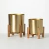 SULLIVANS Brass Planter On Stands - Set of 2 -KANTE Sales gold sullivans plant pots n2715 64 1000