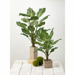 SULLIVANS Gray Cement Square Planter 8 SULLIVANS Gray Cement Square Planter -KANTE Sales gray sullivans plant pots cmt1090 4f 1000