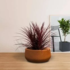 KANTE 16 in. Dia. Round Iron Oxide Concrete Bowl Planter, Outdoor Indoor Large Planter Pot with Drainage Hole -KANTE Sales iron oxide kante plant pots rc0051b c80621 1f 1000