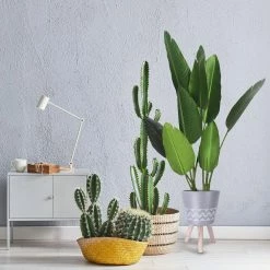 KANTE 17.4 in. Tall Light Gray Lightweight Concrete Classic Outdoor/Indoor Cylindrical Planter with 3 Wooden Legs -KANTE Sales light gray kante plant pots 18h231 ct 1f 1000