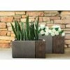 KANTE 31 in and 23 in. L Rectangular Lodgepole Concrete/Fiberglass Indoor Outdoor Elegant Long Planters (Set of 2) -KANTE Sales lodgepole kante plant pots osf0219ab c81051 64 1000