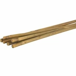 Vigoro 5 ft. Natural Bamboo Stake -KANTE Sales natural bamboo beige vigoro tomato cages bb5vg 4f 1000