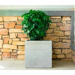KANTE 15 in. W Square Natural Concrete/Fiberglass Indoor Outdoor Elegant Planter -KANTE Sales natural concrete kante plant pots osf0128b c80021 76 1000