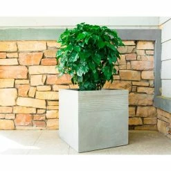 KANTE 15 in. W Square Natural Concrete/Fiberglass Indoor Outdoor Elegant Planter -KANTE Sales natural concrete kante plant pots osf0128b c80021 fa 1000