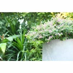 KANTE 17.3 in. Tall Natural Lightweight Concrete Footed Tulip Outdoor Round Planter (Set of 3) -KANTE Sales natural kante plant pots rf2015022bcd c80021 4f 1000