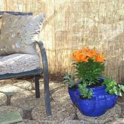 Vigoro 6 ft. H x 16 ft. W Natural Reed Garden Fencing Roll -KANTE Sales natural vigoro garden fencing 0406164 44 1000