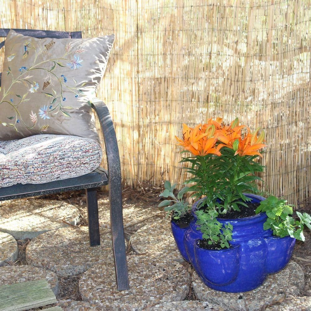 Vigoro 4 ft. H x 8 ft. W Natural Peeled and Polished Reed Fencing 7 Vigoro 4 ft. H x 8 ft. W Natural Peeled and Polished Reed Fencing - Image 5