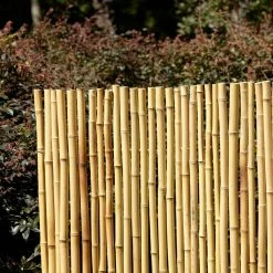 Vigoro 4 ft. H x 6 ft. W Natural Bamboo Fence -KANTE Sales natural vigoro garden fencing 4477405 44 1000
