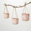 SULLIVANS Terracotta Herb Hanging Ceramic Planters - Set of 3 -KANTE Sales orange sullivans plant pots cm3008 64 1000