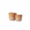 SULLIVANS Orange Cement Planter (Set of 2) -KANTE Sales orange sullivans plant pots cmt1180 64 1000