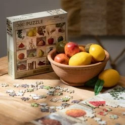 SULLIVANS Adobe Cement Dish Planter - Set of 3 -KANTE Sales orange sullivans plant pots cmt1218 1f 1000