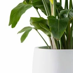 KANTE 19.6 in., 15.7 in. & 11.8 in. W Round Pure White Concrete Elegant Planters Set of 3, Outdoor Indoor w/Drainage Holes -KANTE Sales pure white kante plant pots rc0051abc c80011 1f 1000