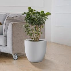 KANTE 13.39 in. x 12.6 in. Round Pure White Lightweight Concrete and Fiberglass Indoor Outdoor Planter with Drainage Hole 13 KANTE 13.39 in. x 12.6 in. Round Pure White Lightweight Concrete and Fiberglass Indoor Outdoor Planter with Drainage Hole -KANTE Sales pure white kante plant pots rc0152b c80011 44 1000