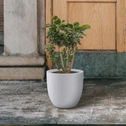 KANTE 13.39 in. x 12.6 in. Round Pure White Lightweight Concrete and Fiberglass Indoor Outdoor Planter with Drainage Hole 14 KANTE 13.39 in. x 12.6 in. Round Pure White Lightweight Concrete and Fiberglass Indoor Outdoor Planter with Drainage Hole -KANTE Sales pure white kante plant pots rc0152b c80011 fa 1000