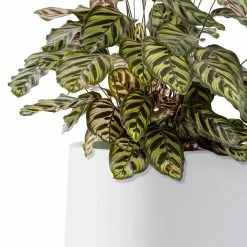 KANTE 17.3 in. H Round Pure White Concrete Planter, Outdoor Indoor Large Planter Pots Containers with Drainage Holes -KANTE Sales pure white kante plant pots rf2015022b c80011 4f 1000