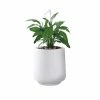 KANTE 17.3 in. H Round Pure White Concrete Planter, Outdoor Indoor Large Planter Pots Containers with Drainage Holes -KANTE Sales pure white kante plant pots rf2015022b c80011 64 1000