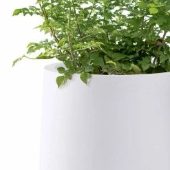 KANTE 13.4 in. H Pure White Tuliped Round Concrete Planter, Outdoor Indoor Large Planter Pots, Containers with Drainage Holes -KANTE Sales pure white kante plant pots rf2015022c c80011 44 1000