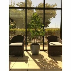 KANTE 10 in. W Round Slate Gray Concrete/Fiberglass Indoor Outdoor Elegant Planter -KANTE Sales slate gray kante plant pots osc0050a c60611 76 1000