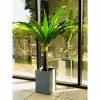 KANTE 13 in. H Square Slate Gray Lightweight Concrete/Fiberglass Indoor Outdoor Modern Planter 2 KANTE 13 in. H Square Slate Gray Lightweight Concrete/Fiberglass Indoor Outdoor Modern Planter -KANTE Sales slate gray kante plant pots osf0007a c60611 64 1000