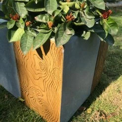 KANTE 31 in. L Rectangular Timber Ridge Concrete/Fiberglass Indoor Outdoor Elegant Long Planter 16 KANTE 31 in. L Rectangular Timber Ridge Concrete/Fiberglass Indoor Outdoor Elegant Long Planter -KANTE Sales timber ridge kante plant pots osf0219b c80811 4f 1000