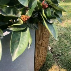 KANTE 31 in. L Rectangular Timber Ridge Concrete/Fiberglass Indoor Outdoor Elegant Long Planter 14 KANTE 31 in. L Rectangular Timber Ridge Concrete/Fiberglass Indoor Outdoor Elegant Long Planter -KANTE Sales timber ridge kante plant pots osf0219b c80811 66 1000