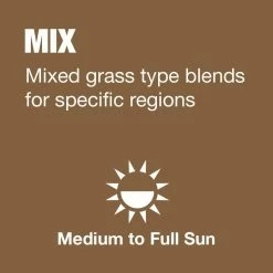 Vigoro 3 lbs. Fast Grass Seed Mix 18 Vigoro 3 lbs. Fast Grass Seed Mix -KANTE Sales vigoro grass seed 25102 a0 1000