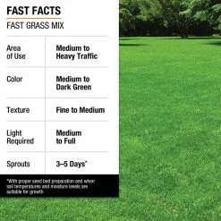 Vigoro 3 lbs. Fast Grass Seed Mix 26 Vigoro 3 lbs. Fast Grass Seed Mix -KANTE Sales vigoro grass seed 25102 fa 1000