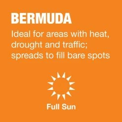 Vigoro 10 lbs. Bermuda Grass Seed Blend with Water Saver Seed Coating 18 Vigoro 10 lbs. Bermuda Grass Seed Blend with Water Saver Seed Coating -KANTE Sales vigoro grass seed 25502 a0 1000