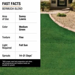 Vigoro 10 lbs. Bermuda Grass Seed Blend with Water Saver Seed Coating 26 Vigoro 10 lbs. Bermuda Grass Seed Blend with Water Saver Seed Coating -KANTE Sales vigoro grass seed 25502 fa 1000