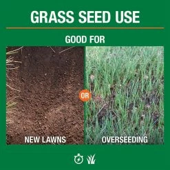 Vigoro 3 lbs. Tall Fescue Grass Seed Blend with Water Saver Seed Coating -KANTE Sales vigoro grass seed 25684 4f 1000