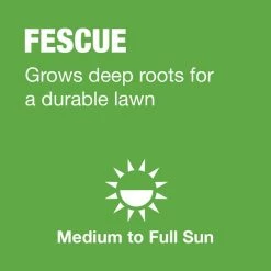 Vigoro 3 lbs. Tall Fescue Grass Seed Blend with Water Saver Seed Coating -KANTE Sales vigoro grass seed 25684 a0 1000