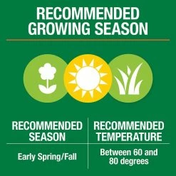 Vigoro 3 lbs. Dense Shade Grass Seed Mix with Water Saver Seed Coating 24 Vigoro 3 lbs. Dense Shade Grass Seed Mix with Water Saver Seed Coating -KANTE Sales vigoro grass seed 25689 1f 1000