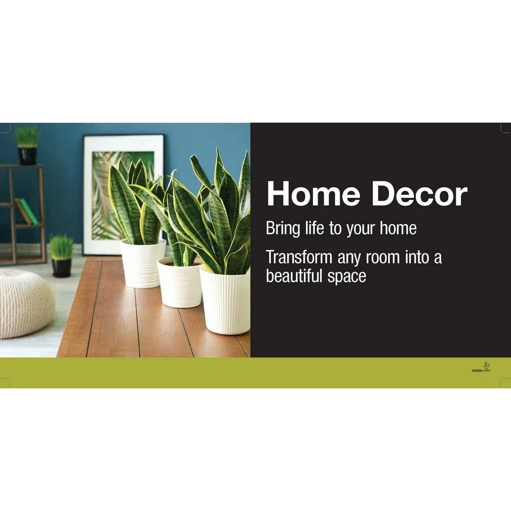 Vigoro 6 in. Grower's Choice Aglaonema Chinese Evergreen Indoor Plant in Small White Ribbed Plastic Decor Planter (2-Pack) 5 Vigoro 6 in. Grower's Choice Aglaonema Chinese Evergreen Indoor Plant in Small White Ribbed Plastic Decor Planter (2-Pack) - Image 3