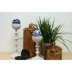 Vigoro 6 in. Grower's Choice Dracaena Indoor Plant in Small White Ribbed Plastic Decor Planter (2-Pack) -KANTE Sales vigoro indoor plants co jc06 3 vi wh c3 1000