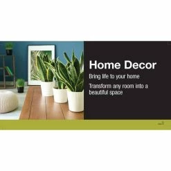 Vigoro 6 in. Neanthebella Palm Indoor Plant in Small White Ribbed Plastic Decor Planter (2-Pack) -KANTE Sales vigoro indoor plants co np07 3 vi wh 40 1000