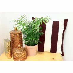 Vigoro 6 in. Neanthebella Palm Indoor Plant in Small White Ribbed Plastic Decor Planter (2-Pack) -KANTE Sales vigoro indoor plants co np07 3 vi wh c3 1000